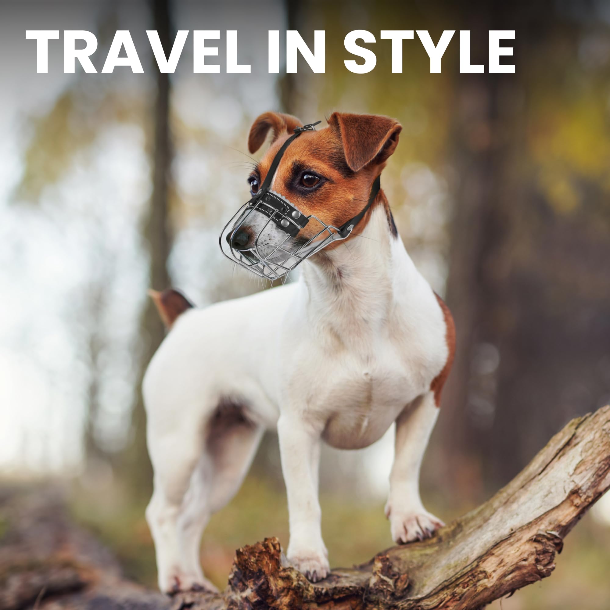 Amazon | BronzeDog ワイヤーバスケット 犬用マズルジャック